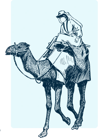 Camel Manifesto